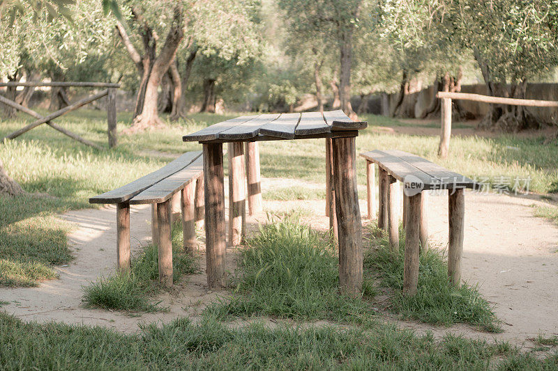 木制的质朴的PIC nic桌子在橄榄林